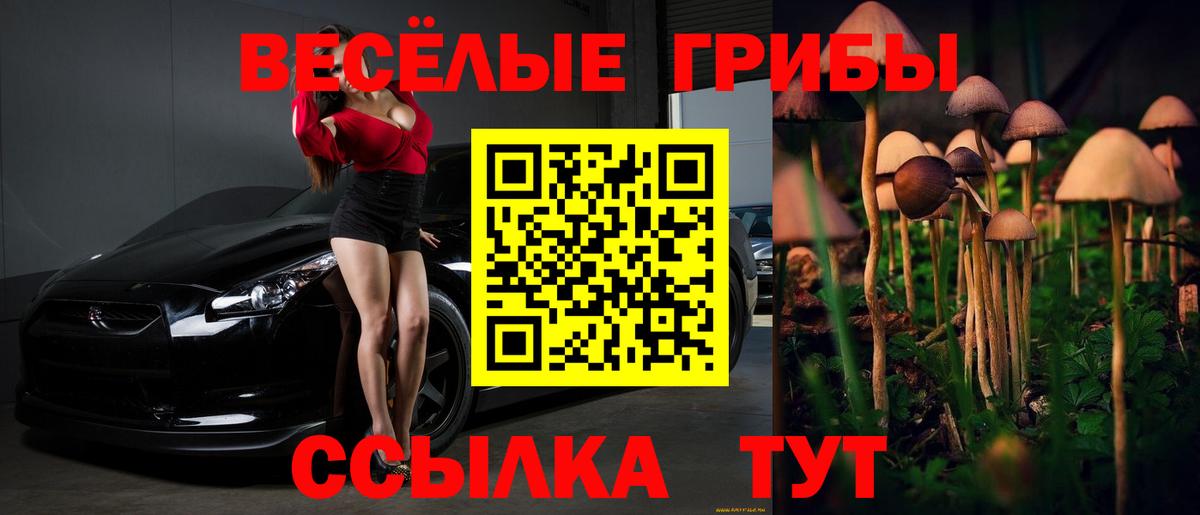 Елизово  Галлюциногенные грибы мухоморы  Вход с VPN 